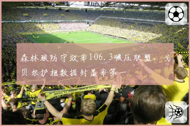 森林狼防守效率106.3碾压联盟，戈贝尔护框数据封盖率第一