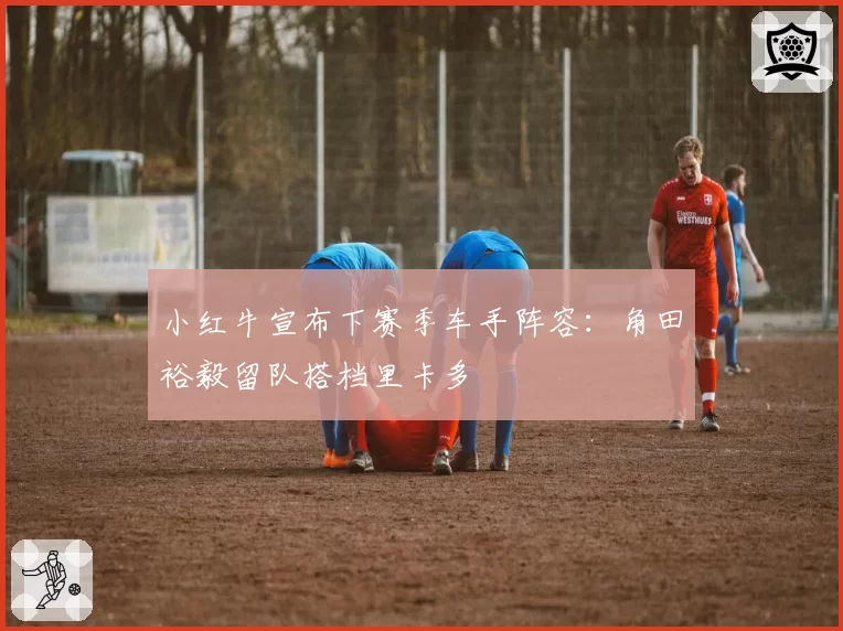 小红牛宣布下赛季车手阵容：角田裕毅留队搭档里卡多