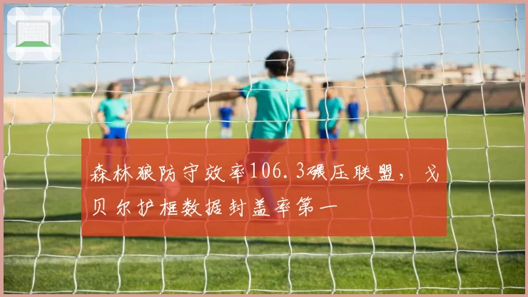 森林狼防守效率106.3碾压联盟，戈贝尔护框数据封盖率第一