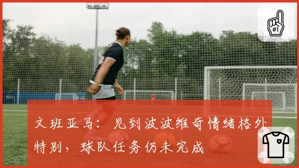 文班亚马:见到波波维奇情绪格外特别,球队任务仍未完成